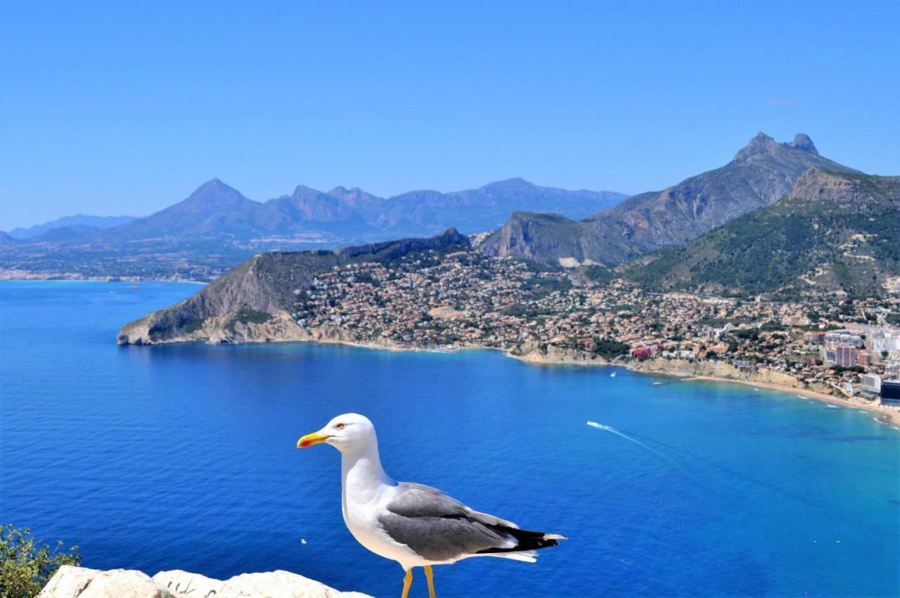 Apartament Mirador Calpe Zewnętrze zdjęcie